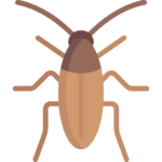 Pest Control Pest Control