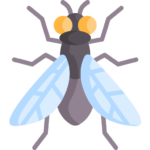 Pest Control Pest Control